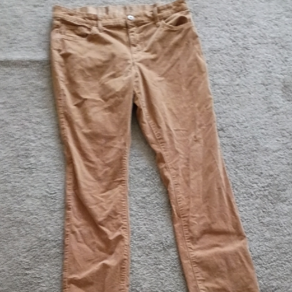 Elegant Tan Straight Leg Women's Pants